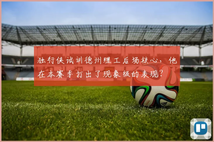 独行侠试训德州理工后场核心，他在本赛季打出了现象级的表现？