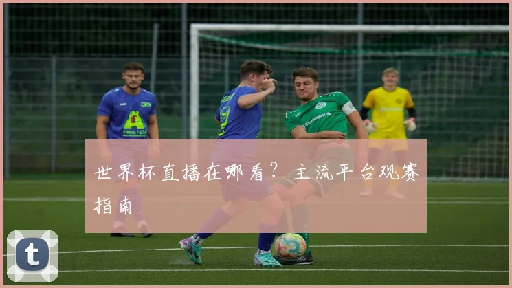 世界杯直播在哪看？主流平台观赛指南