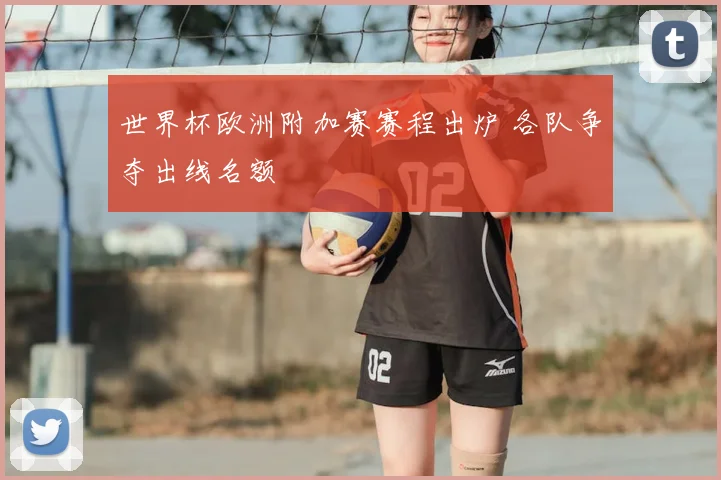 世界杯欧洲附加赛赛程出炉 各队争夺出线名额