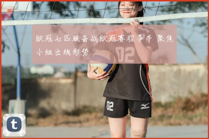 欧冠七匹狼备战欧冠赛程争夺 聚焦小组出线形势