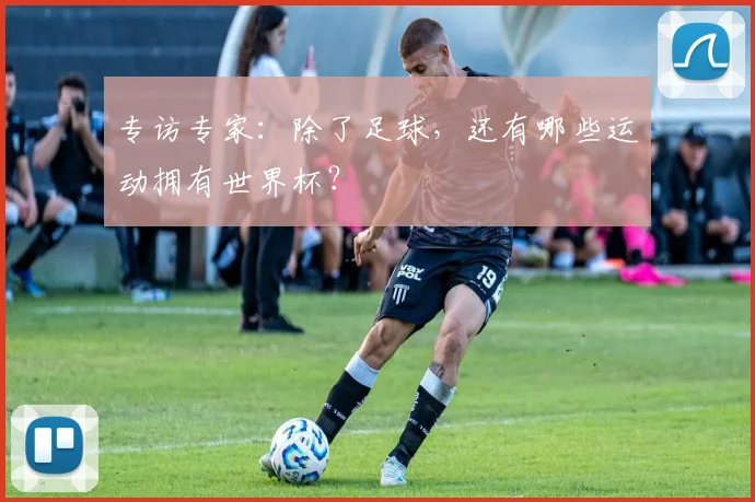 专访专家：除了足球，还有哪些运动拥有世界杯？